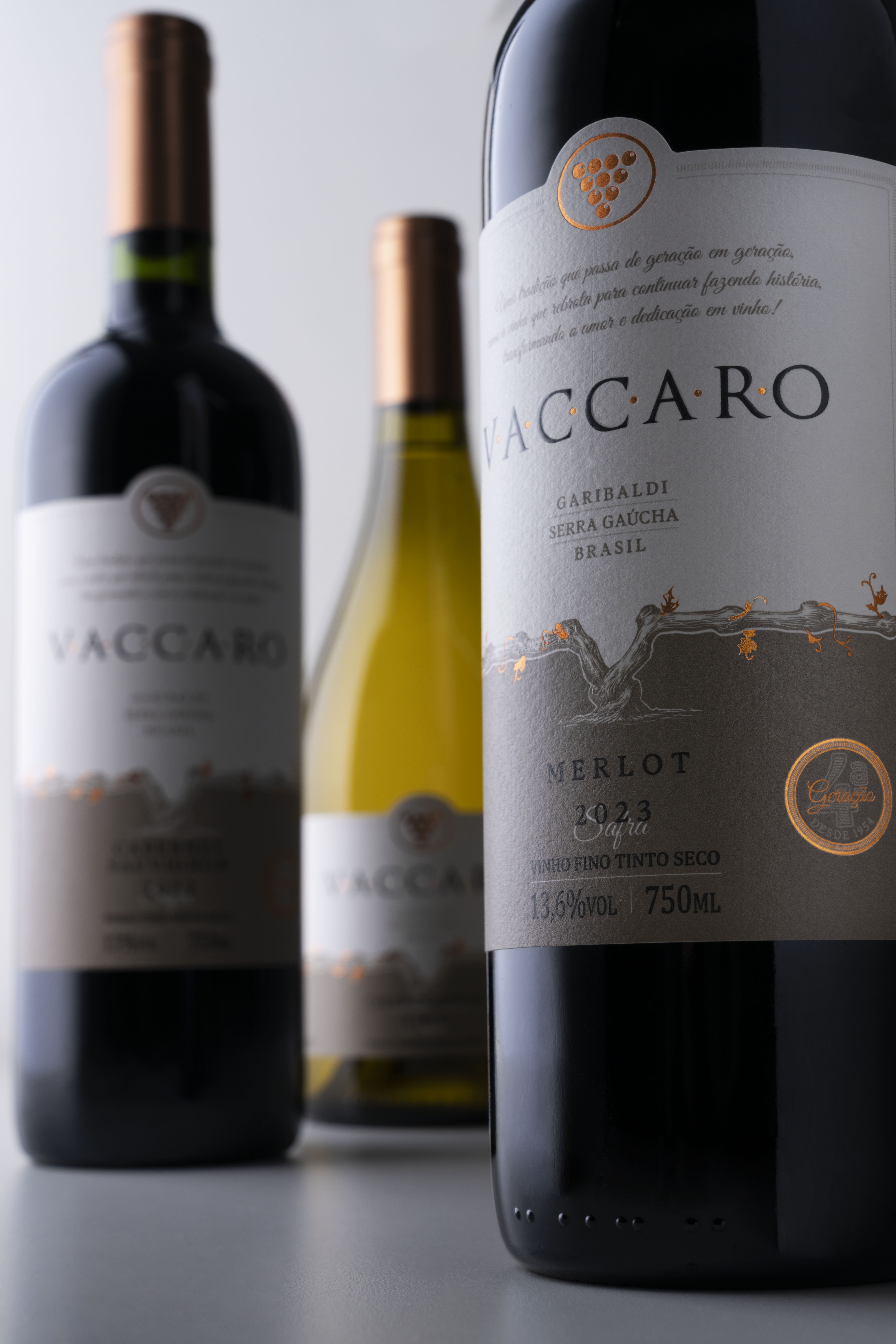 Vaccaro 3534 1 copiar.jpg