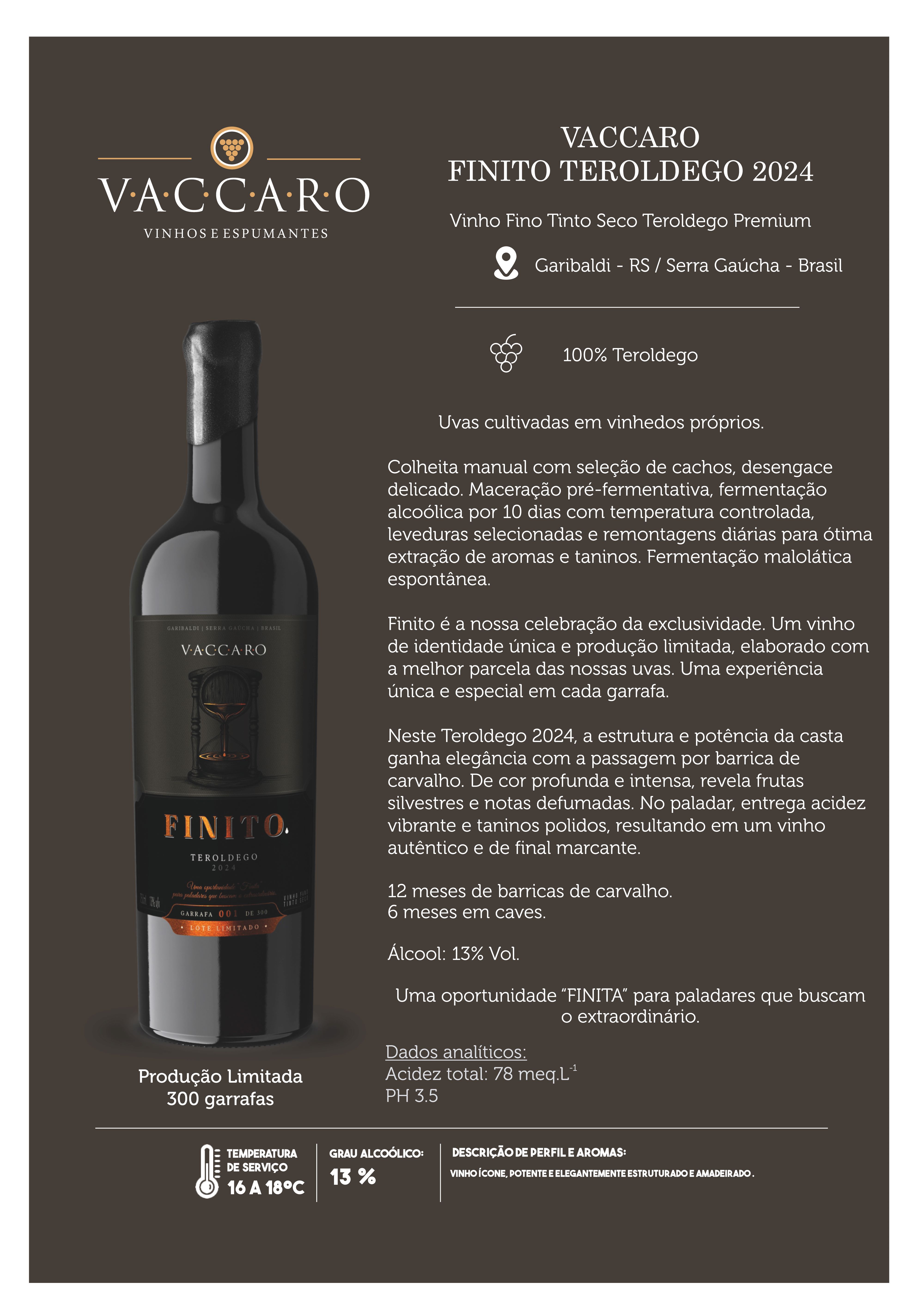 FINITO TEROLDEGO FICHA TÉCNICA 2026  15.jpg