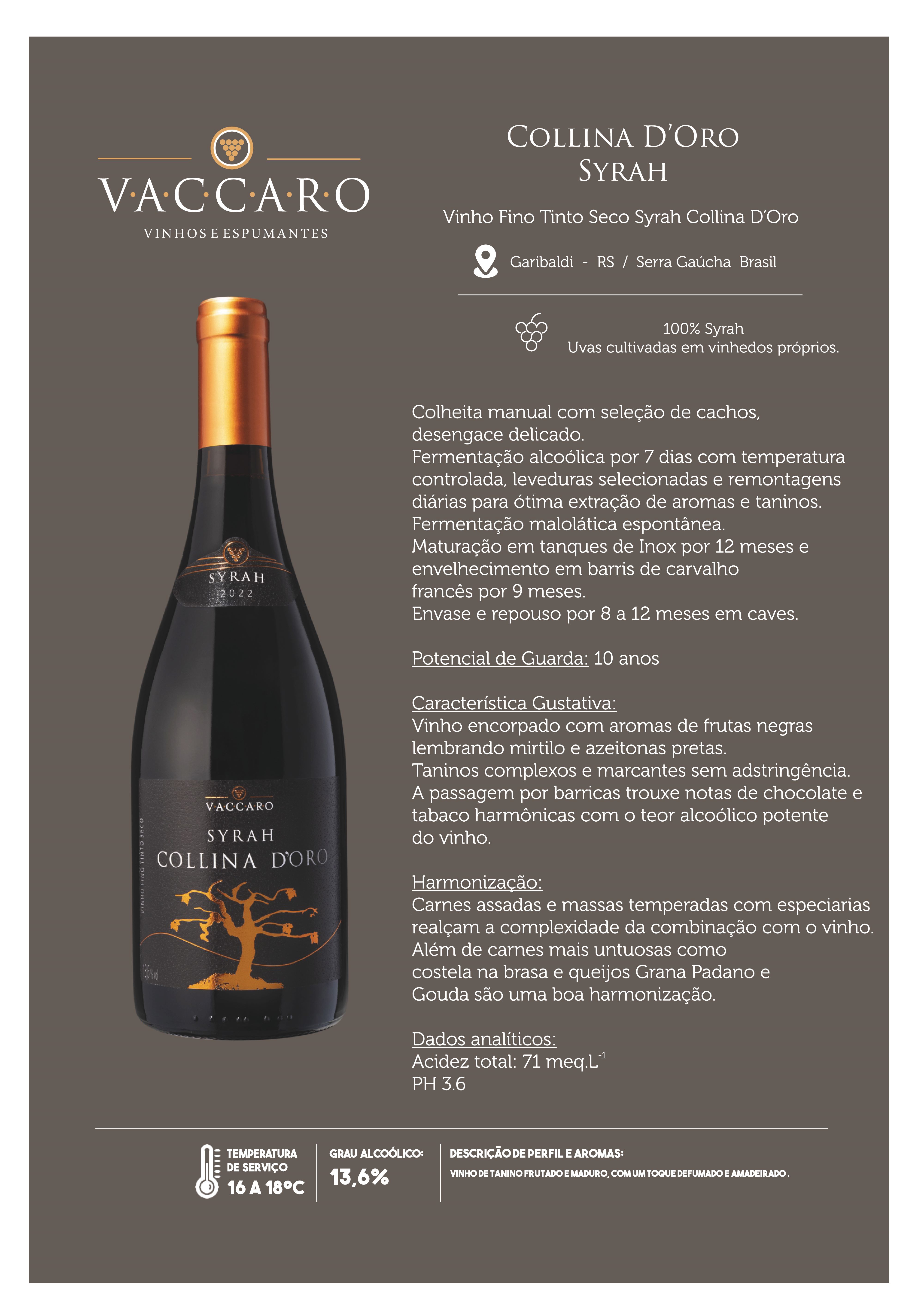 COLLINA DORO  SYRAH FICHA TÉCNICA 2026  10.jpg